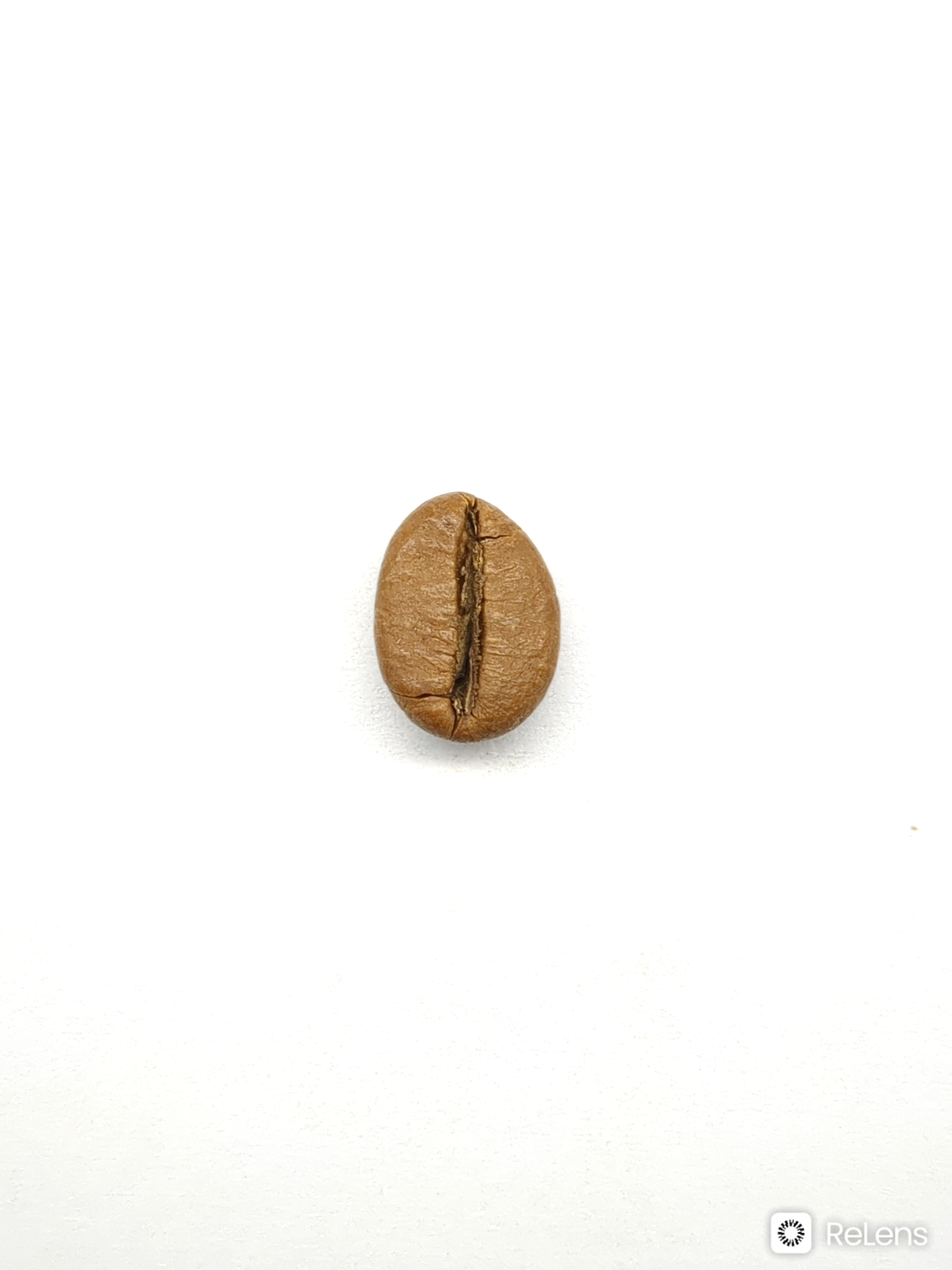 Roasted Coffee Bean Defect Roboflow Universe