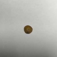Add Dataset for coffee bean project thumbnail
