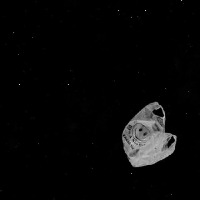 masks/trash project thumbnail
