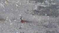 DAM.06.29.2 project thumbnail