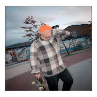 Dataset Image