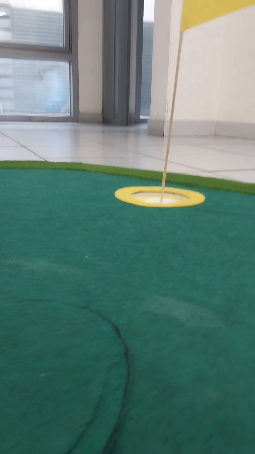 flag Object Detection Model by yolo