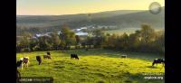 Find cows project thumbnail