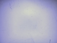 line project thumbnail