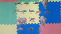 animal project thumbnail