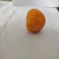 Tomato Sorter project thumbnail