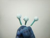 bud project thumbnail
