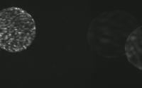 ICE_speckle-detection project thumbnail