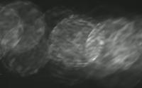 speckle-detection-test project thumbnail