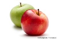 Fruit Segmentation project thumbnail