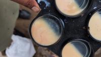 Mastitis dataset project thumbnail