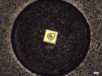 bas_de_puce project thumbnail