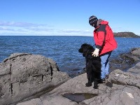 n02111277-Newfoundland project thumbnail