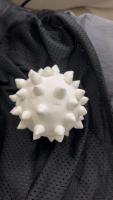 Bacteria project thumbnail
