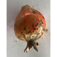 My First Pomegranate project project thumbnail