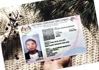 Dataset Image