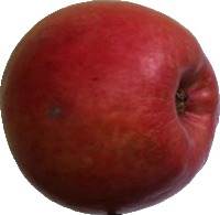 apple Object Detection Dataset by TuyenMB