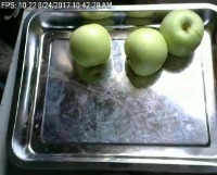 apple Object Detection Dataset by TuyenMB