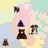 Dataset Image