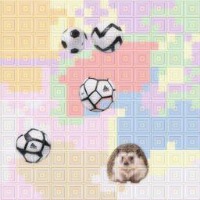 Dataset Image