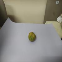 Tomato-Identification project thumbnail