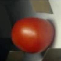 tomato2.0 project thumbnail