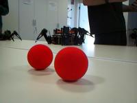 RED BALL project thumbnail