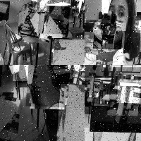 Dataset Image