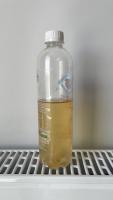 Bottle-Demo project thumbnail