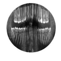 integrated dataset project thumbnail