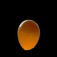 Egg Classification project thumbnail