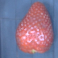 Strawberries project thumbnail
