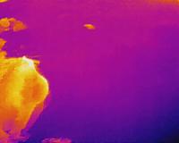 fire project thumbnail