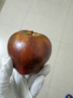 applebad project thumbnail