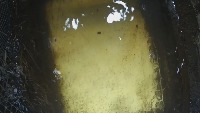 水下检测视频打标 project thumbnail
