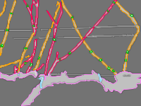 Annotation Visualization