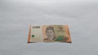 tes lima ribu rupiah project thumbnail