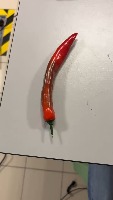 bigchili project thumbnail