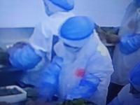 Food-Safety-Mask-Detection project thumbnail
