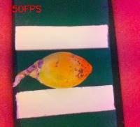 fss_g+o project thumbnail