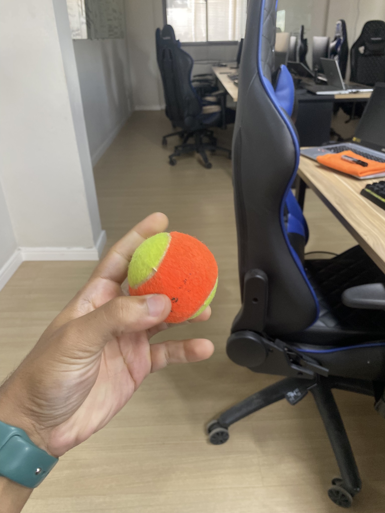 Tennis Ball Object Detection Dataset by Testes