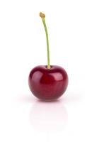 cherry project thumbnail