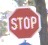 Stop-Sign project thumbnail