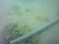 deniz_boru project thumbnail