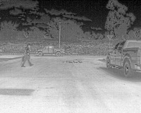 Forest_Vehicle_Thermal project thumbnail
