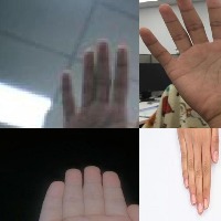 Dataset Image