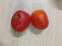 Tomato Segmentation project thumbnail