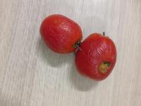 defect_tomato project thumbnail