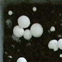 mushroom_128 project thumbnail