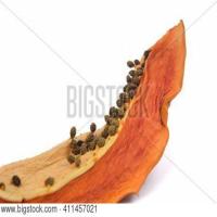 fruitdetection project thumbnail